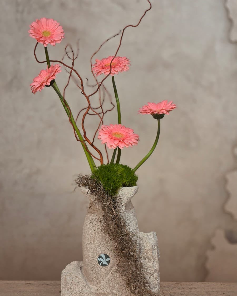 Rosa Armonia