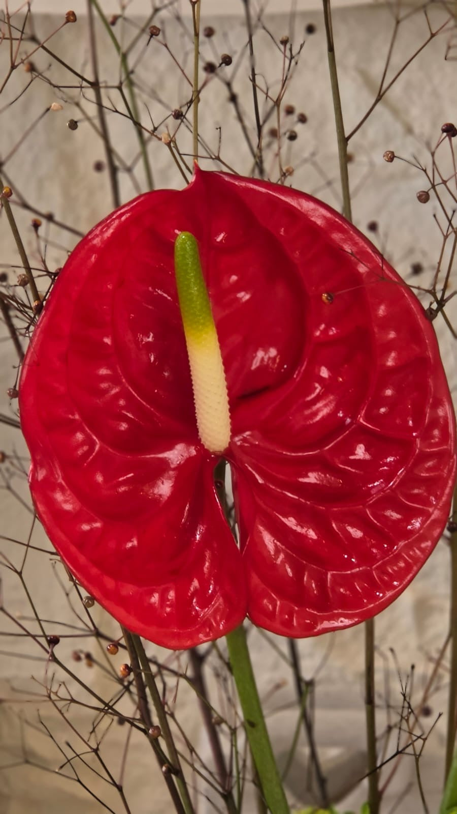 Passione Rossa