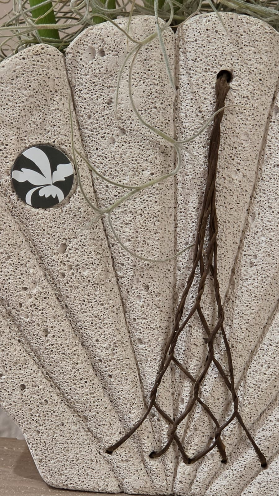 Conchiglia Avorio