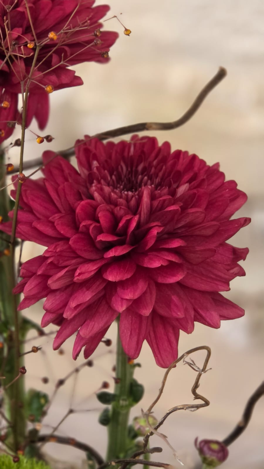 Rosso Sera