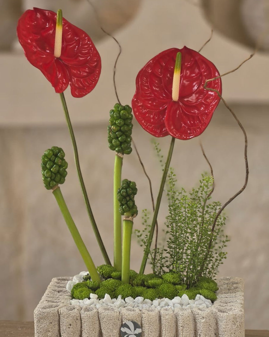 Rosso Botanico