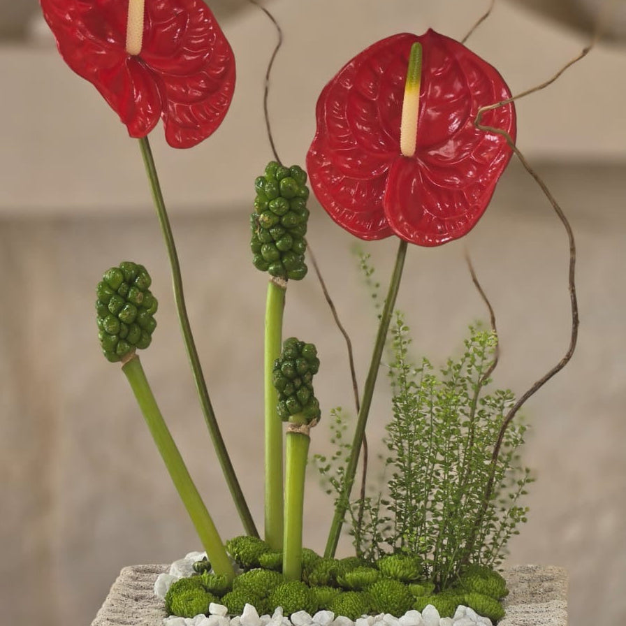 Rosso Botanico