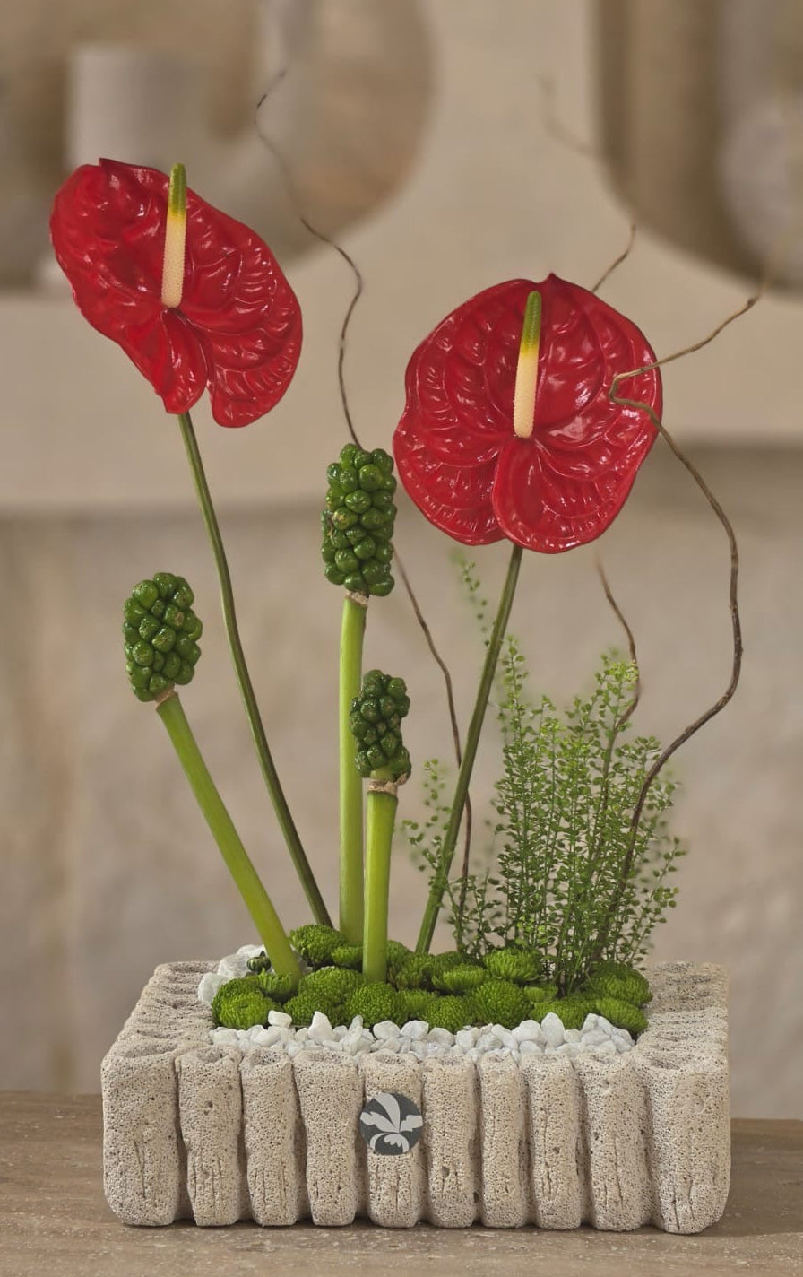 Rosso Botanico
