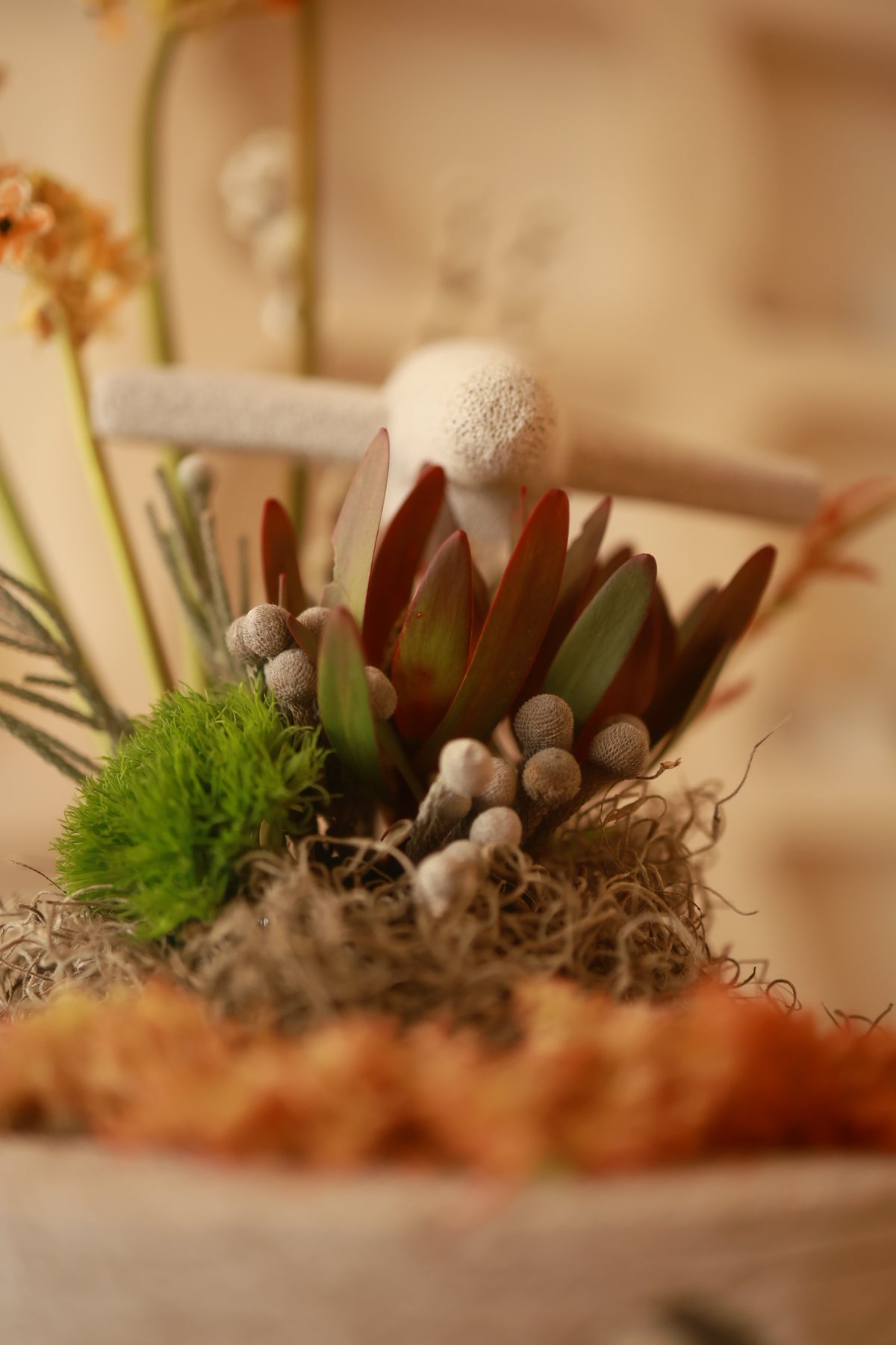 Flight of Spring