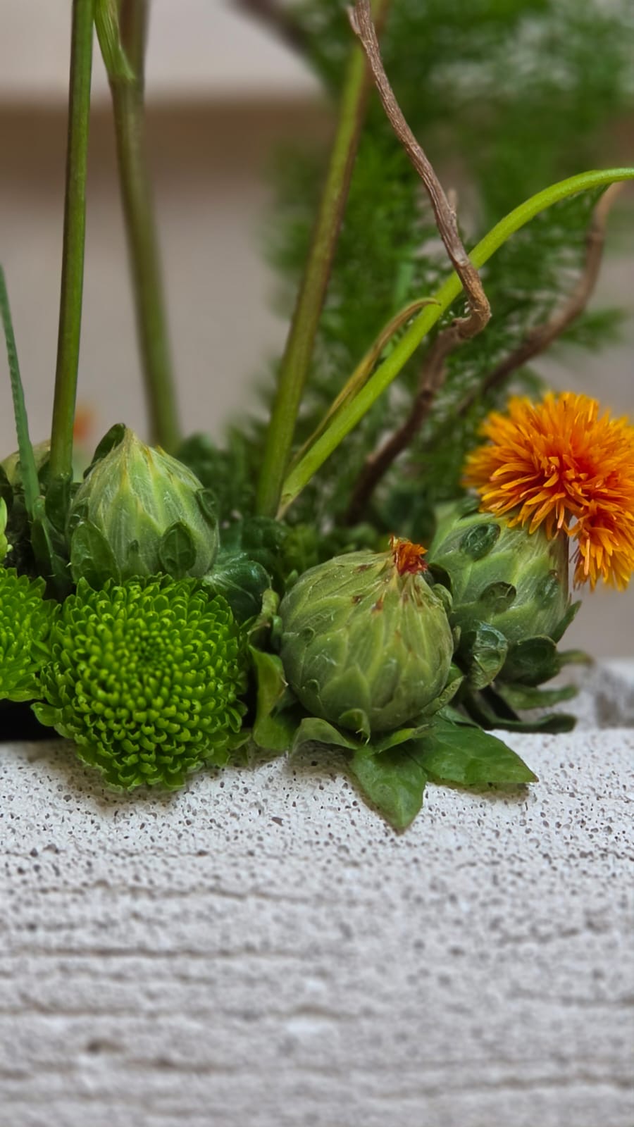 Giardino Vivo