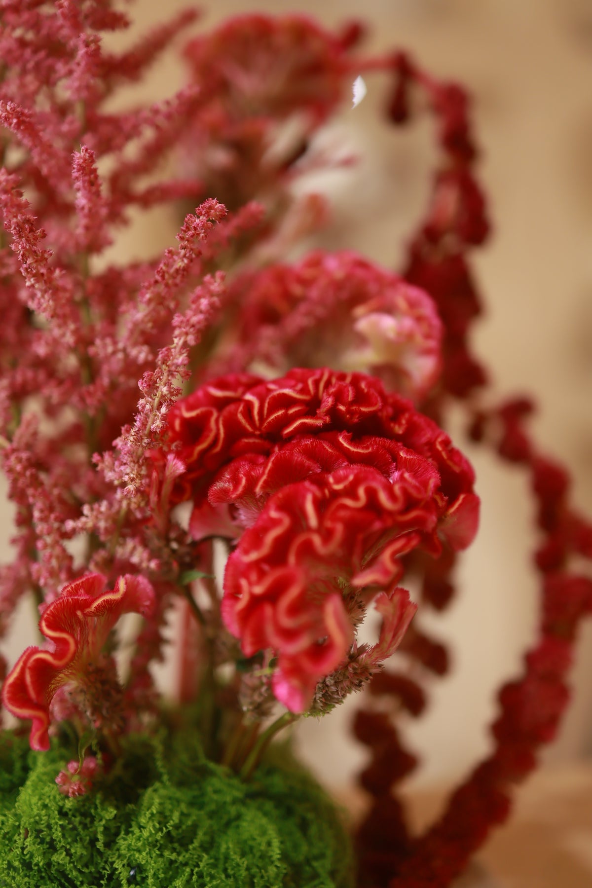 Crimson Cascade