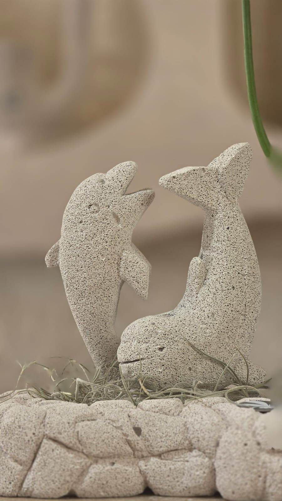 Sogno Marino