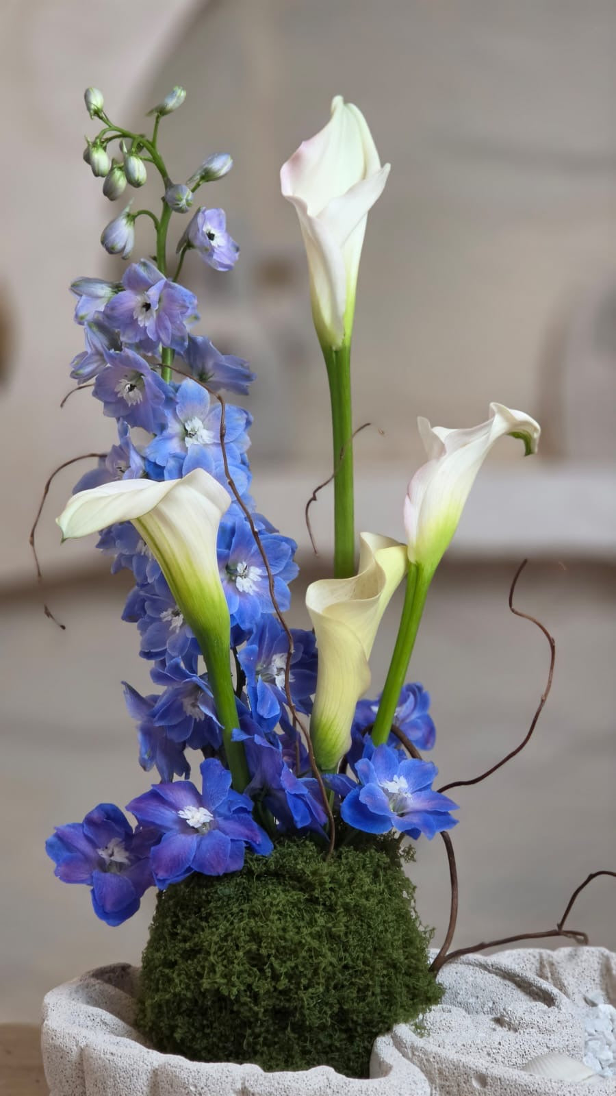 Blu Sereno