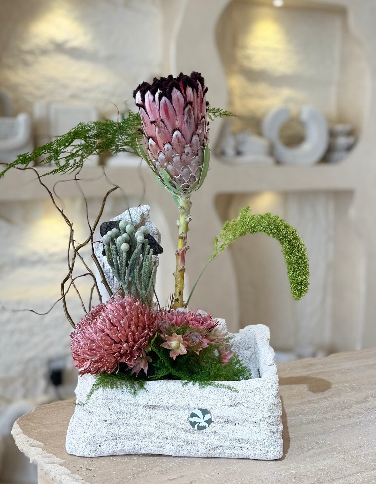 Blushing Protea