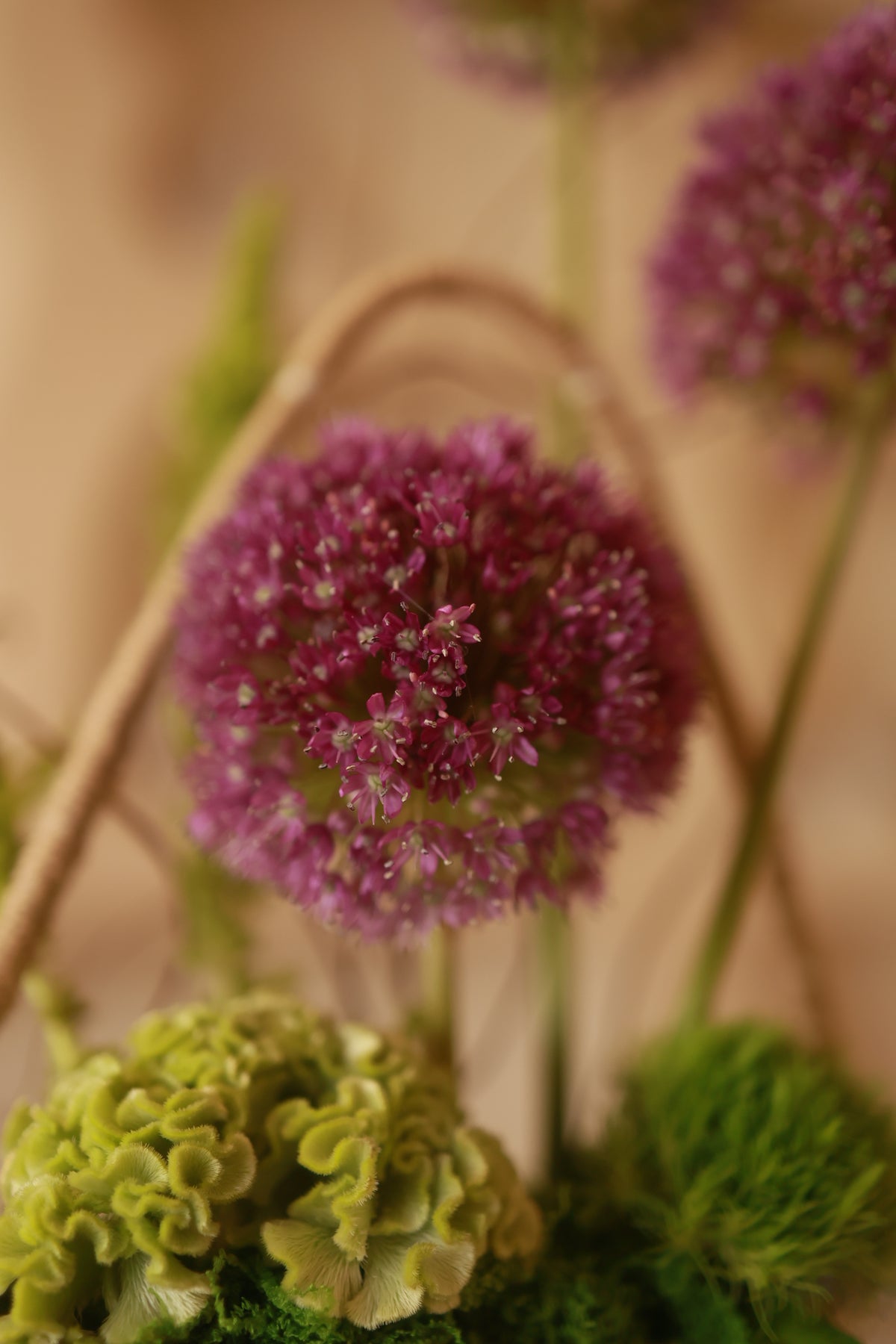 Blooming Basket
