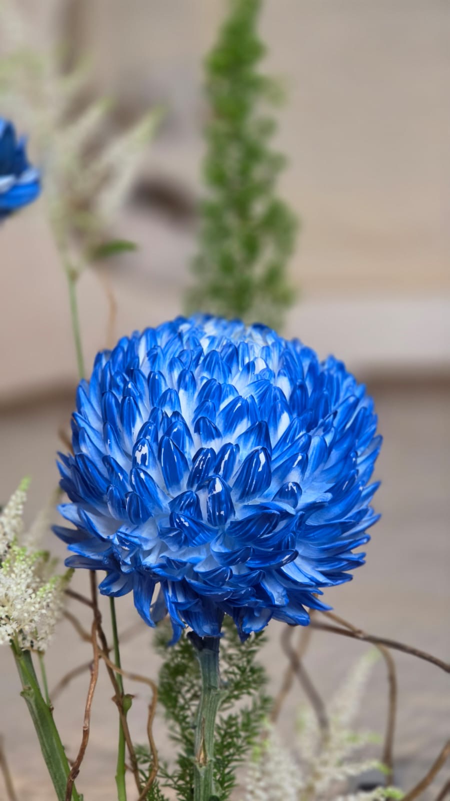 Blu Elegante