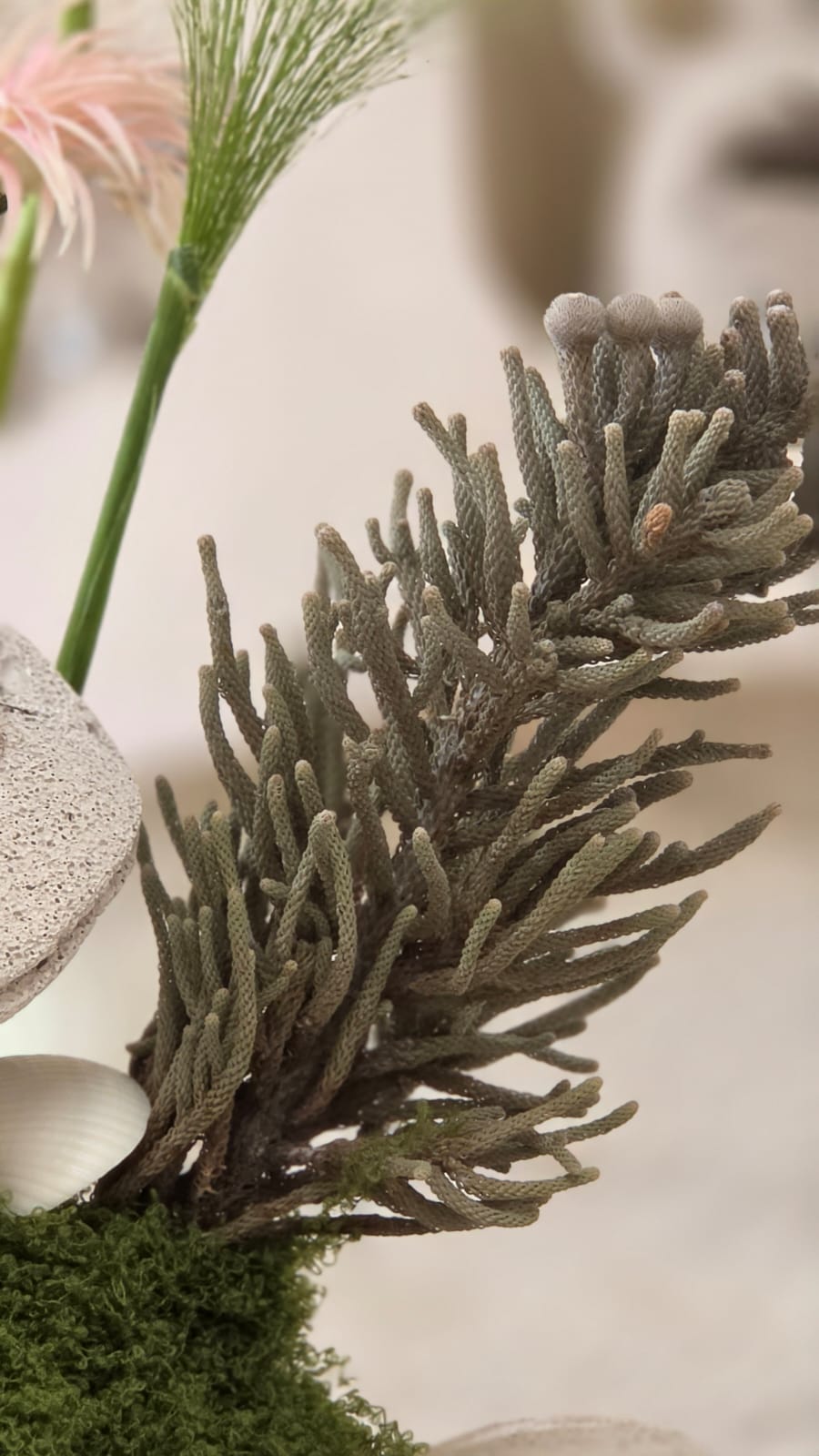 Primavera Dolce