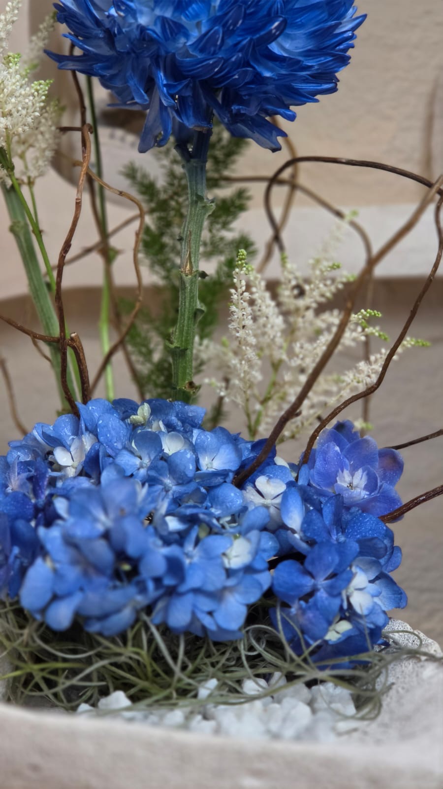 Blu Elegante