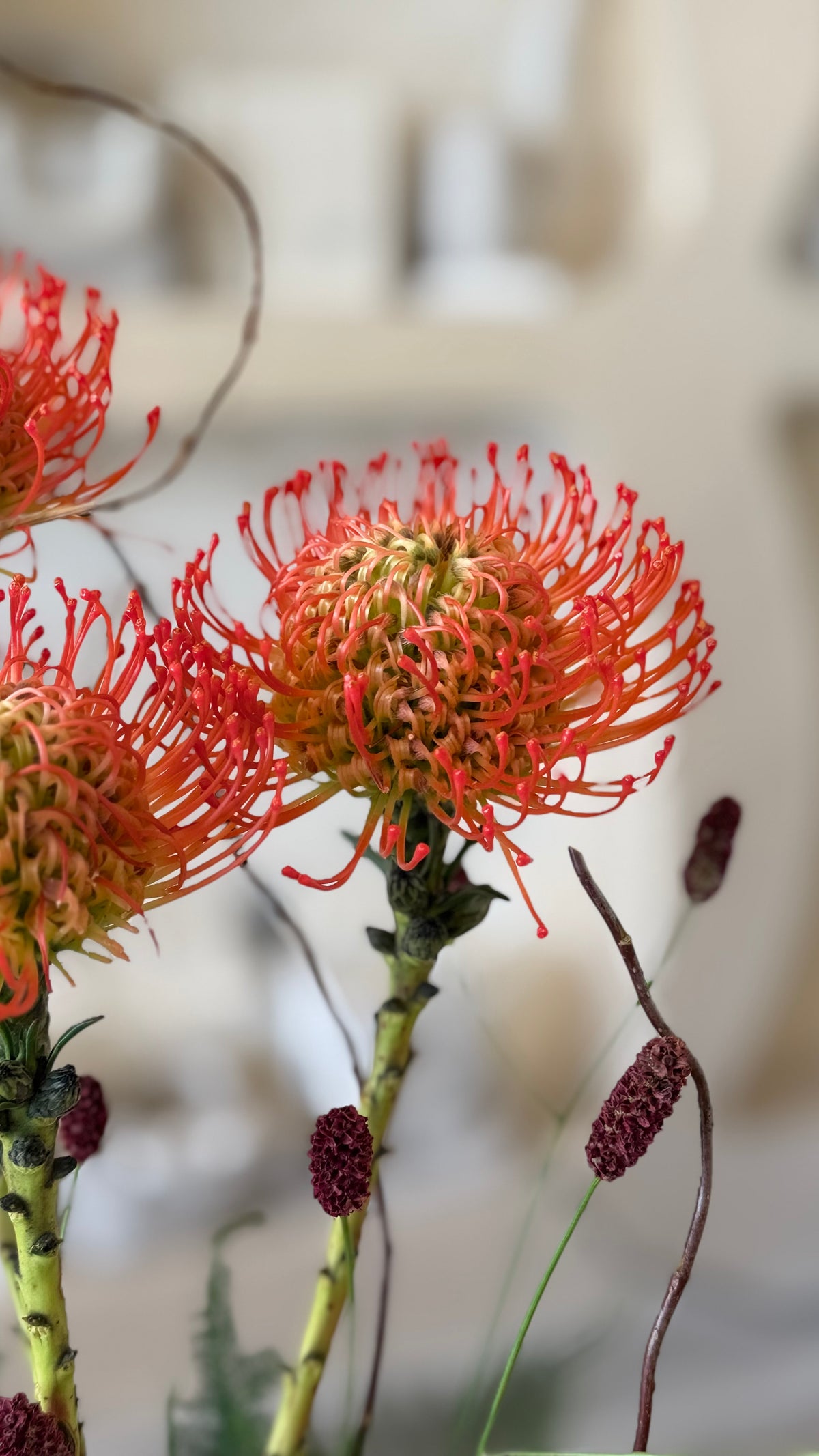 Ember Garden