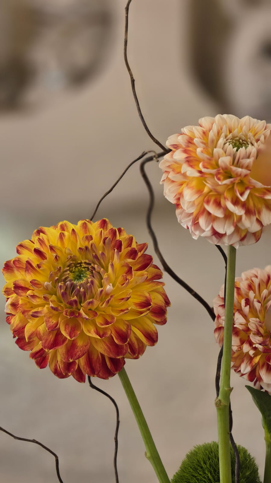 Autunno Fiore