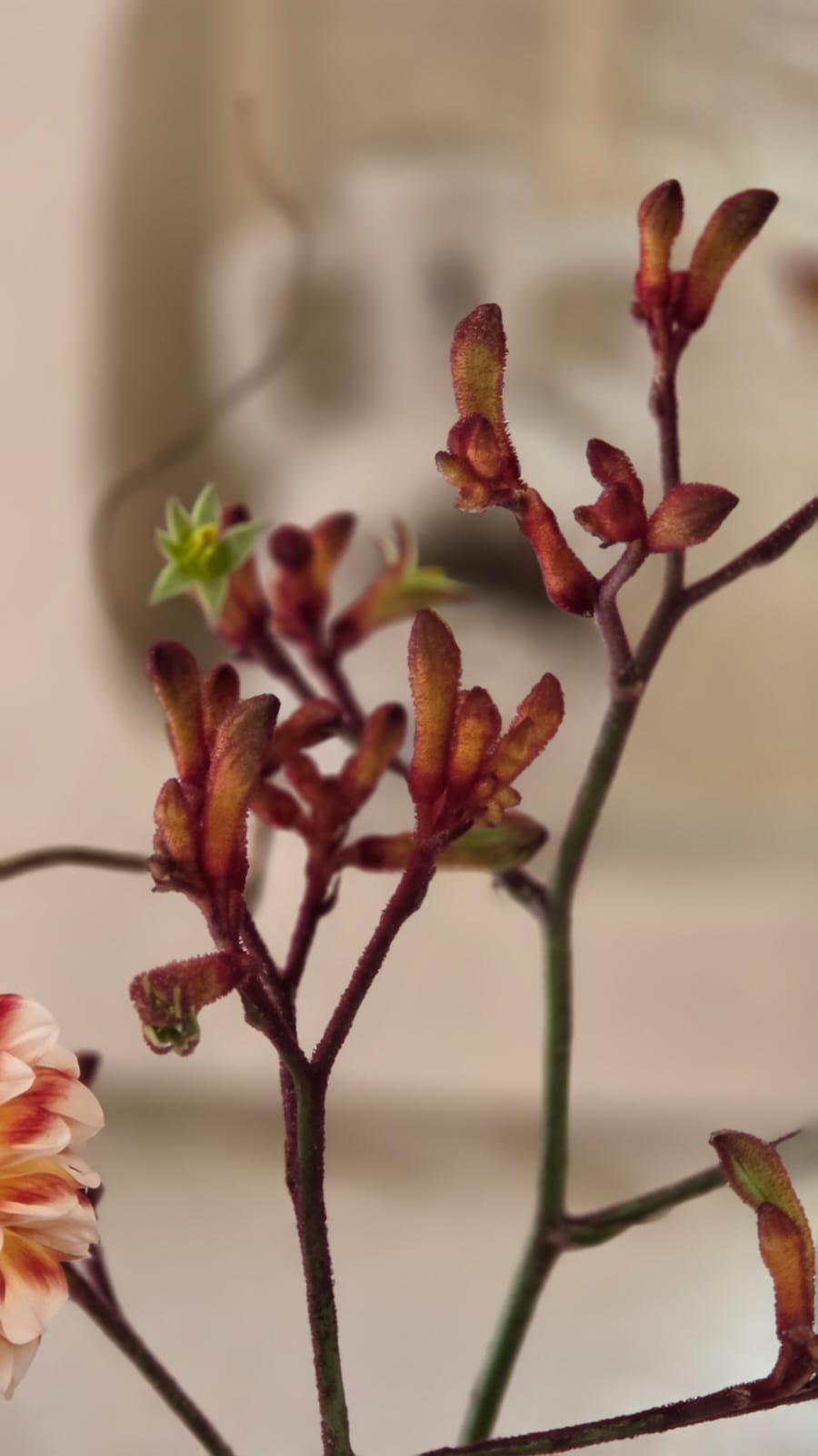 Autunno Fiore