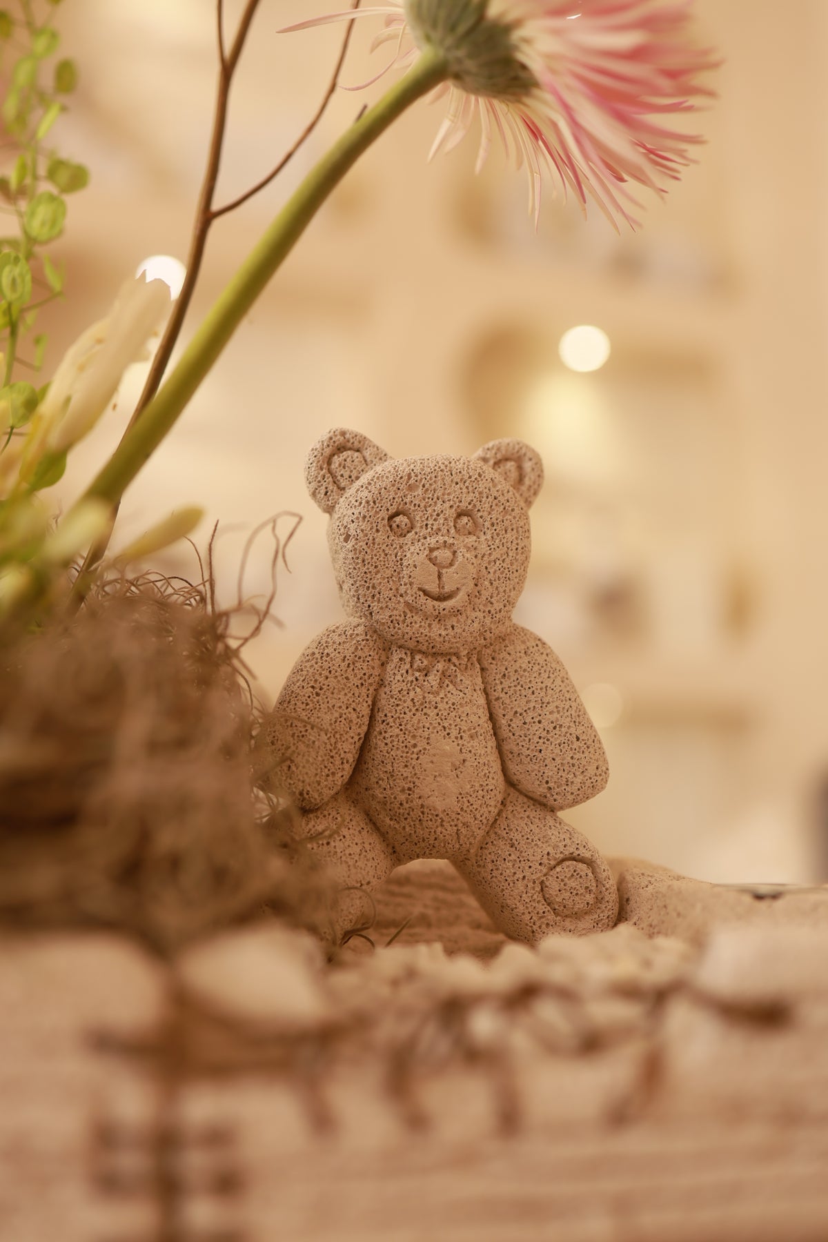 Teddy’s Garden