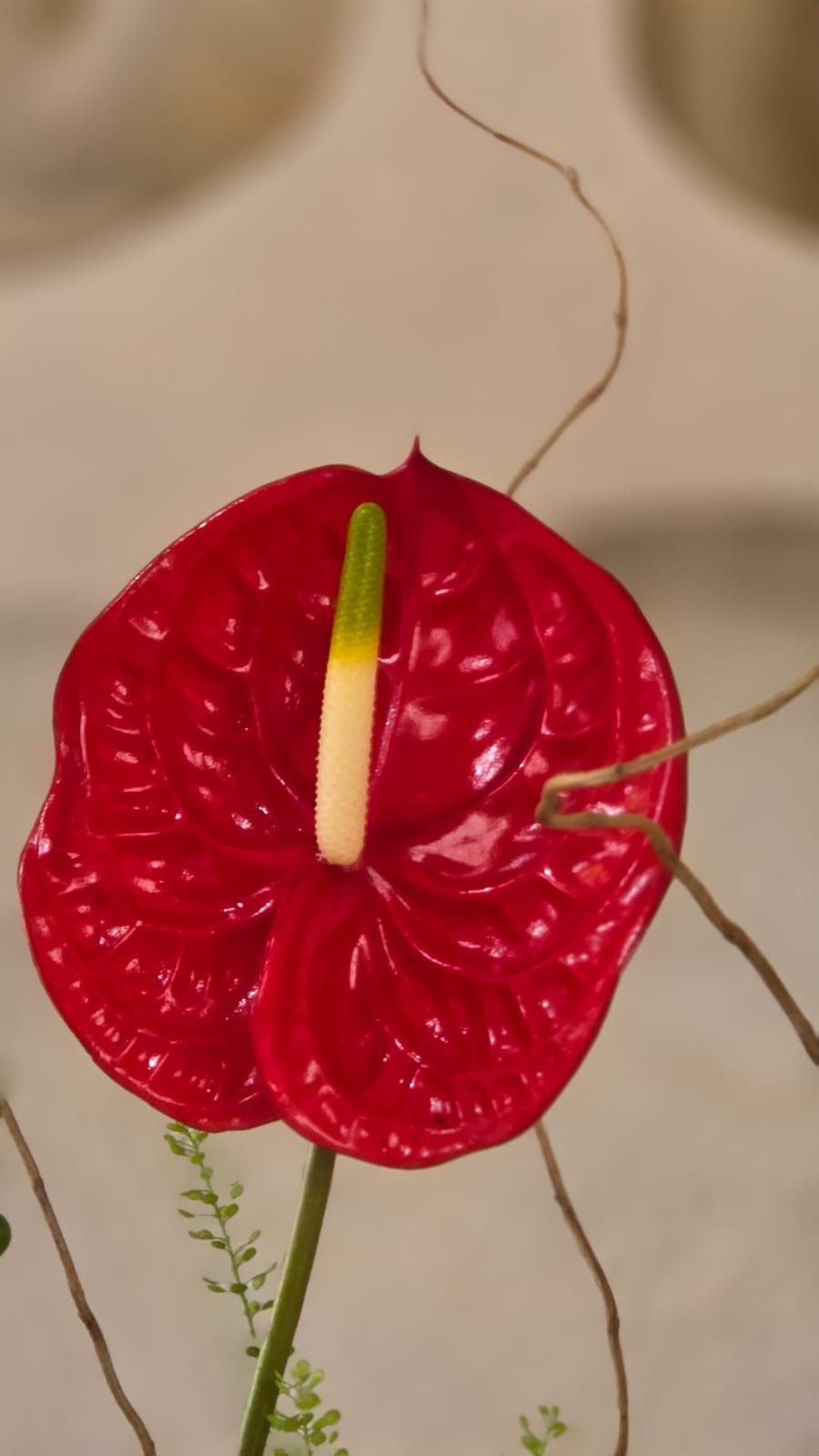 Rosso Botanico