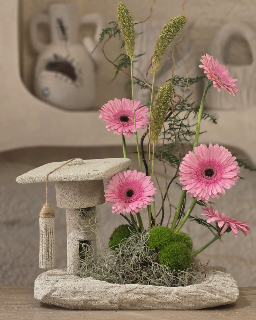 Laurea Rosa