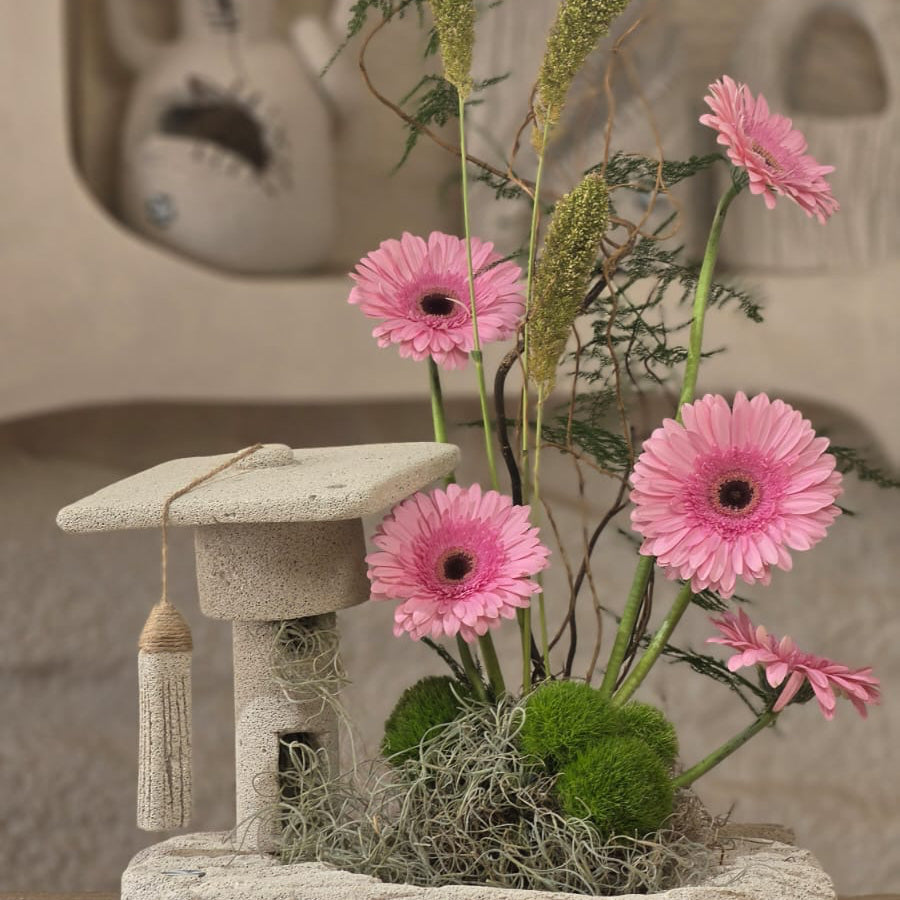 Laurea Rosa