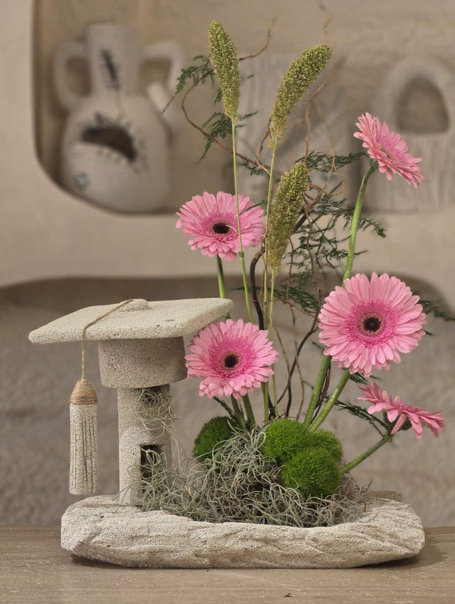Laurea Rosa