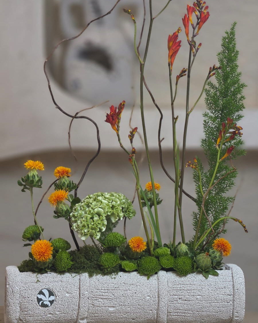 Giardino Vivo