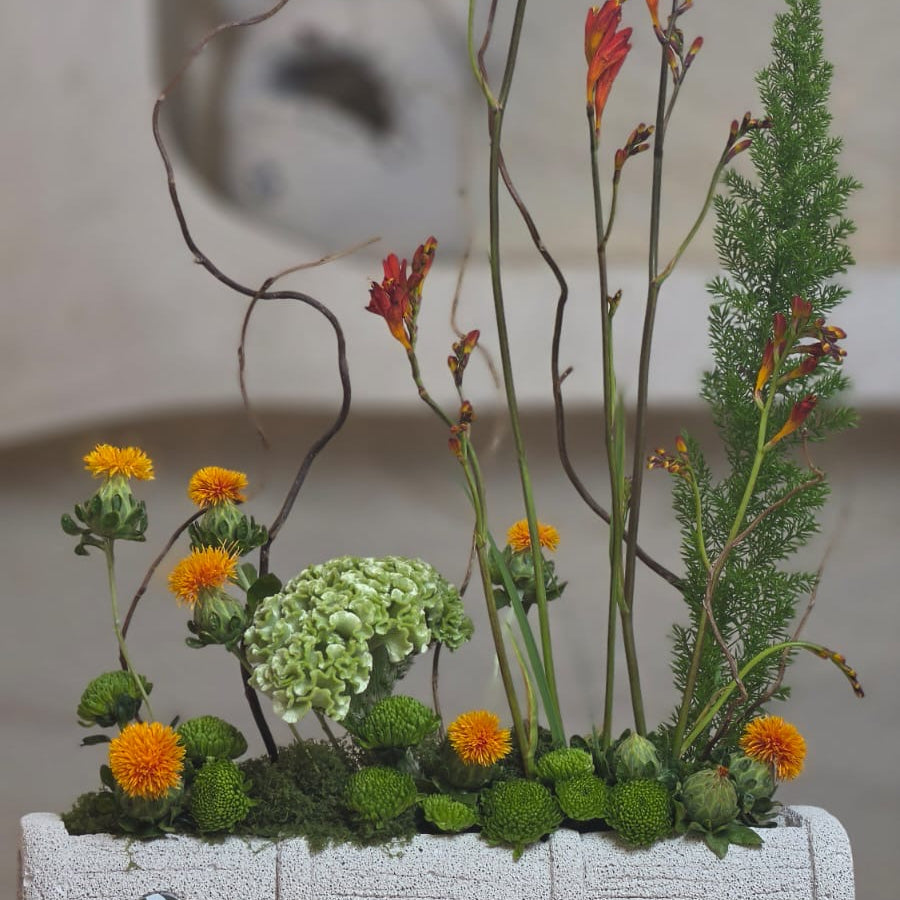 Giardino Vivo