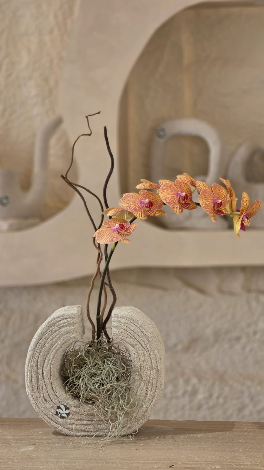 Orchidea d’Ambra