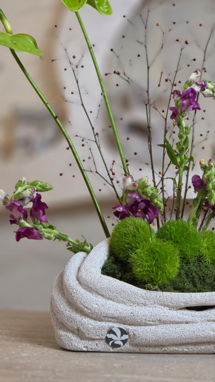 Verde Viola