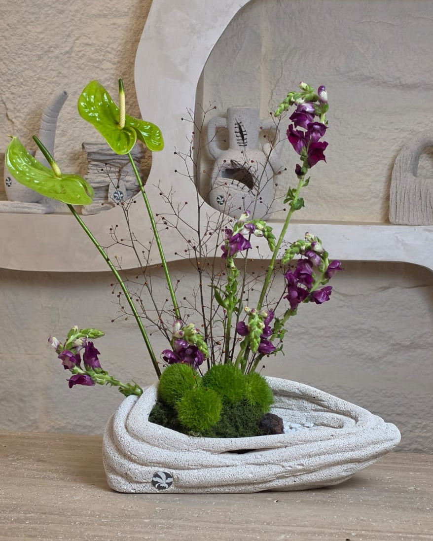 Verde Viola