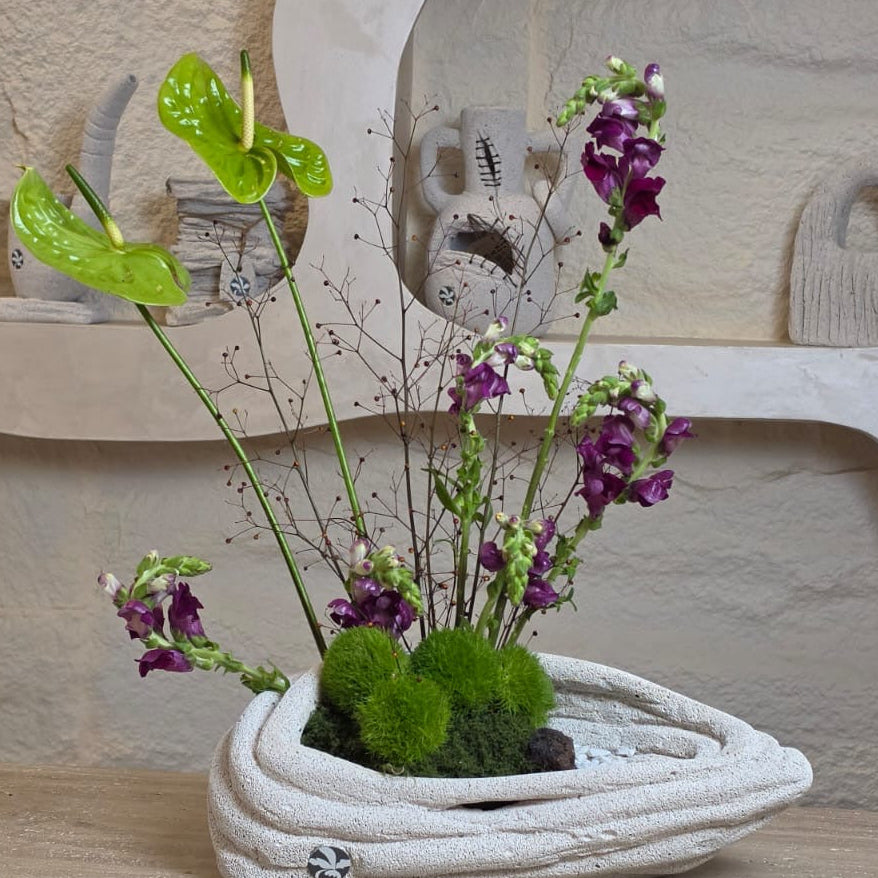 Verde Viola
