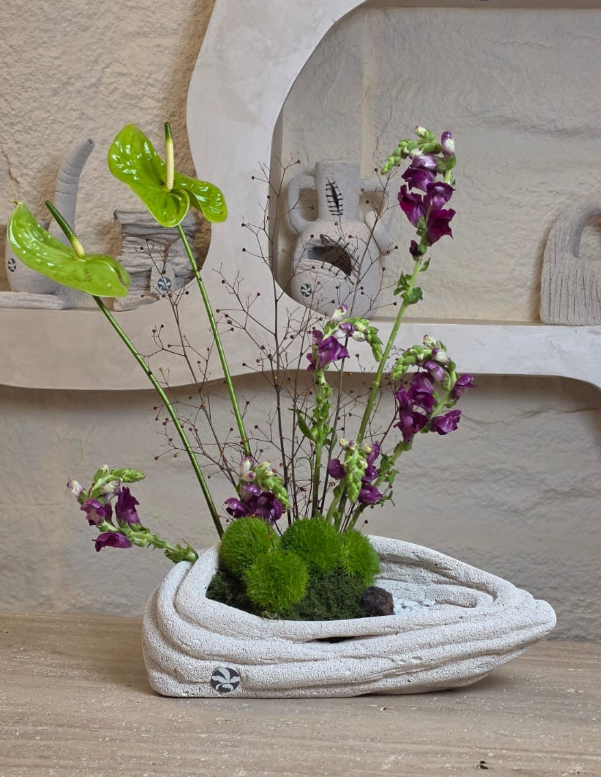 Verde Viola