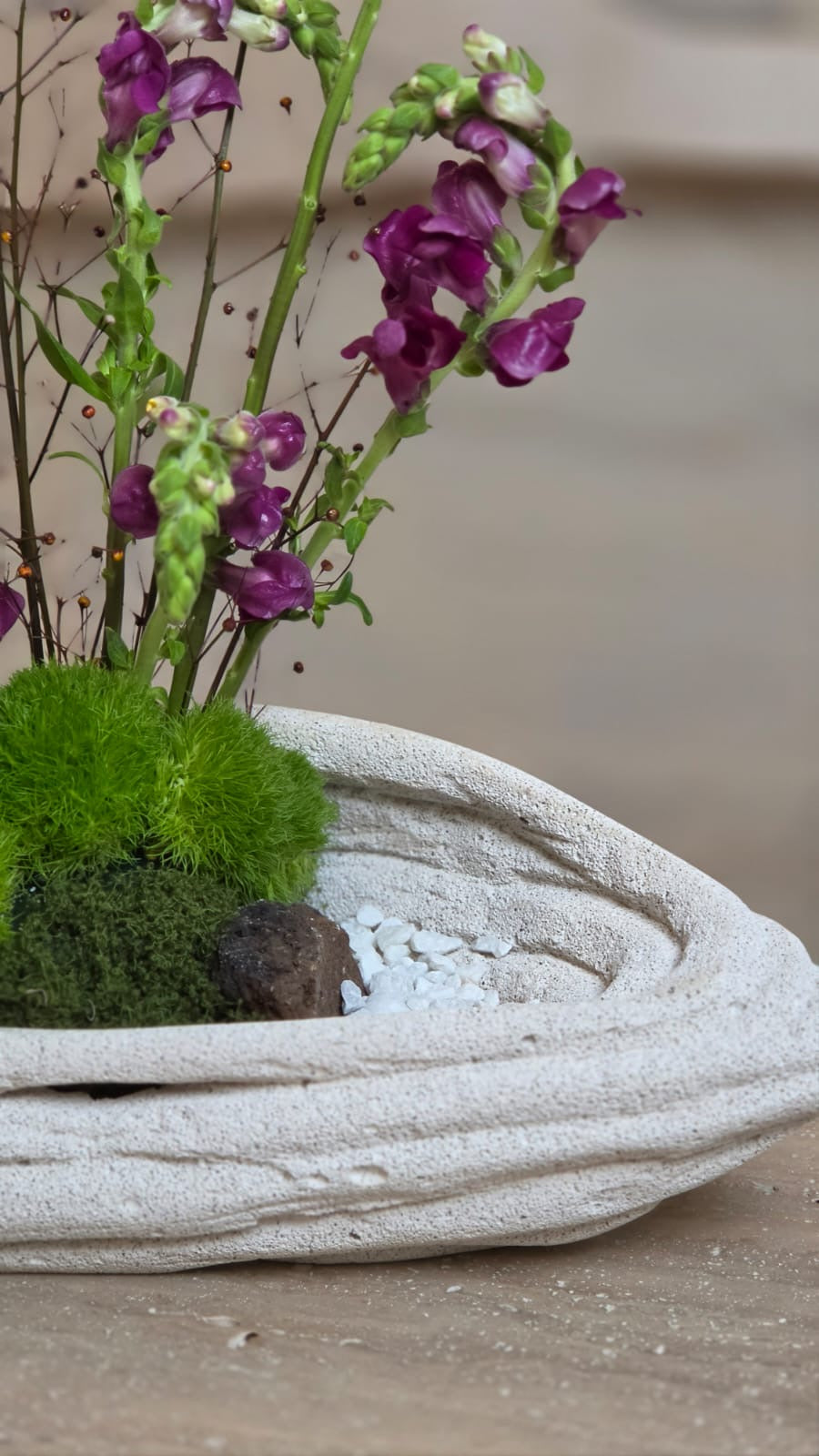 Verde Viola