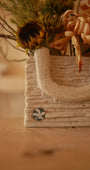 Girasole Antico