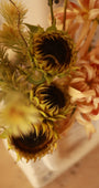 Girasole Antico
