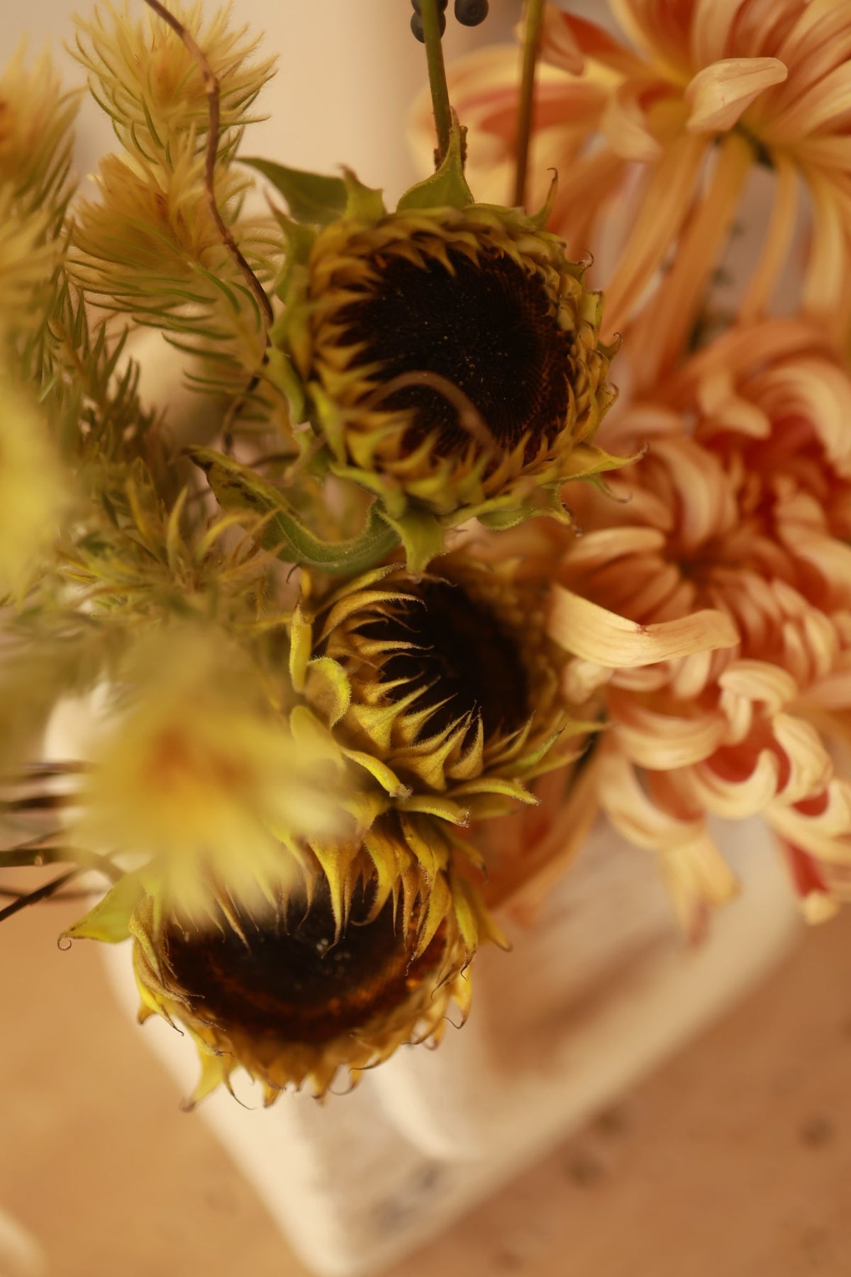 Girasole Antico