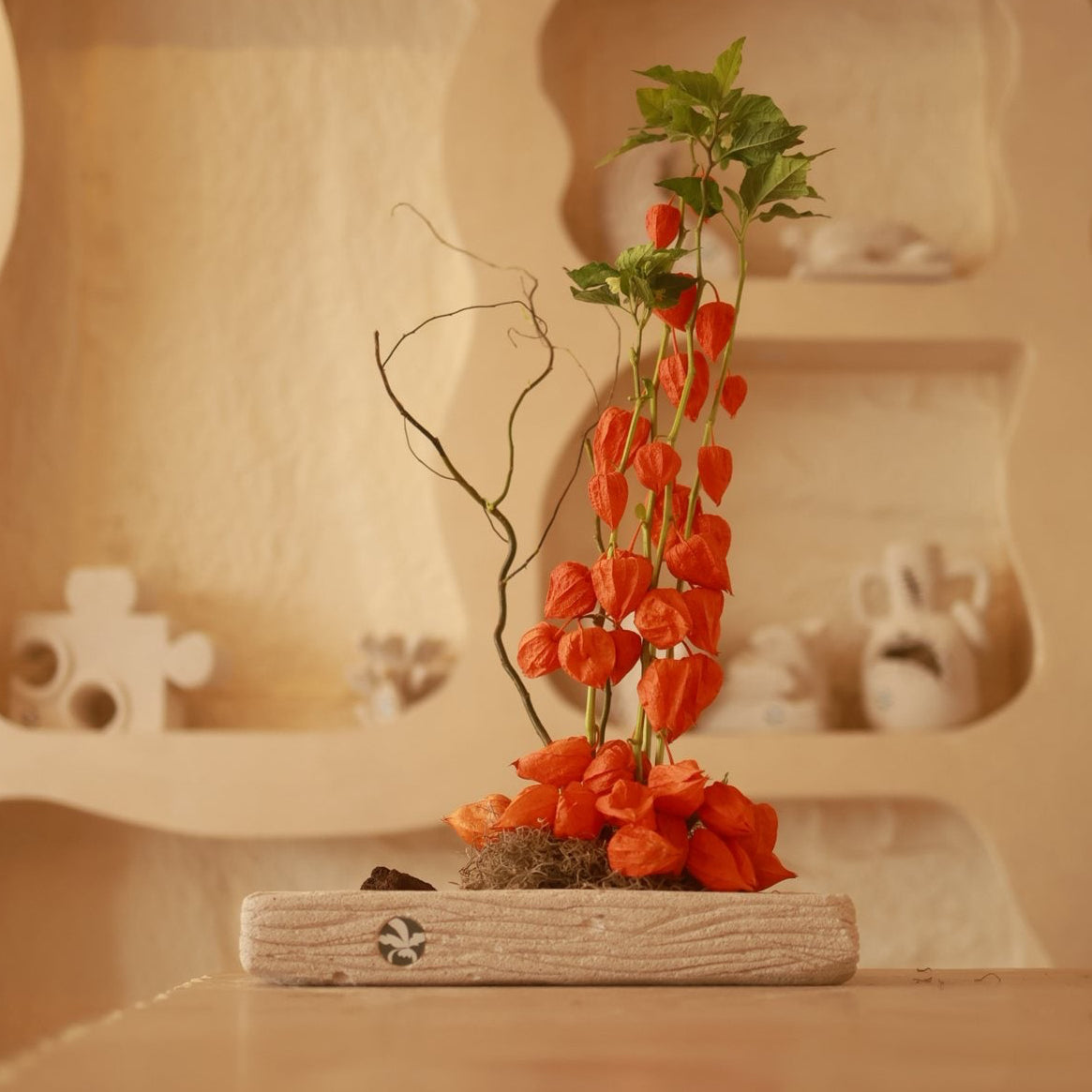 Fiore di Lanterna