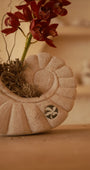 Conchiglia Rossa