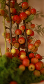 Frutto d'Autunno