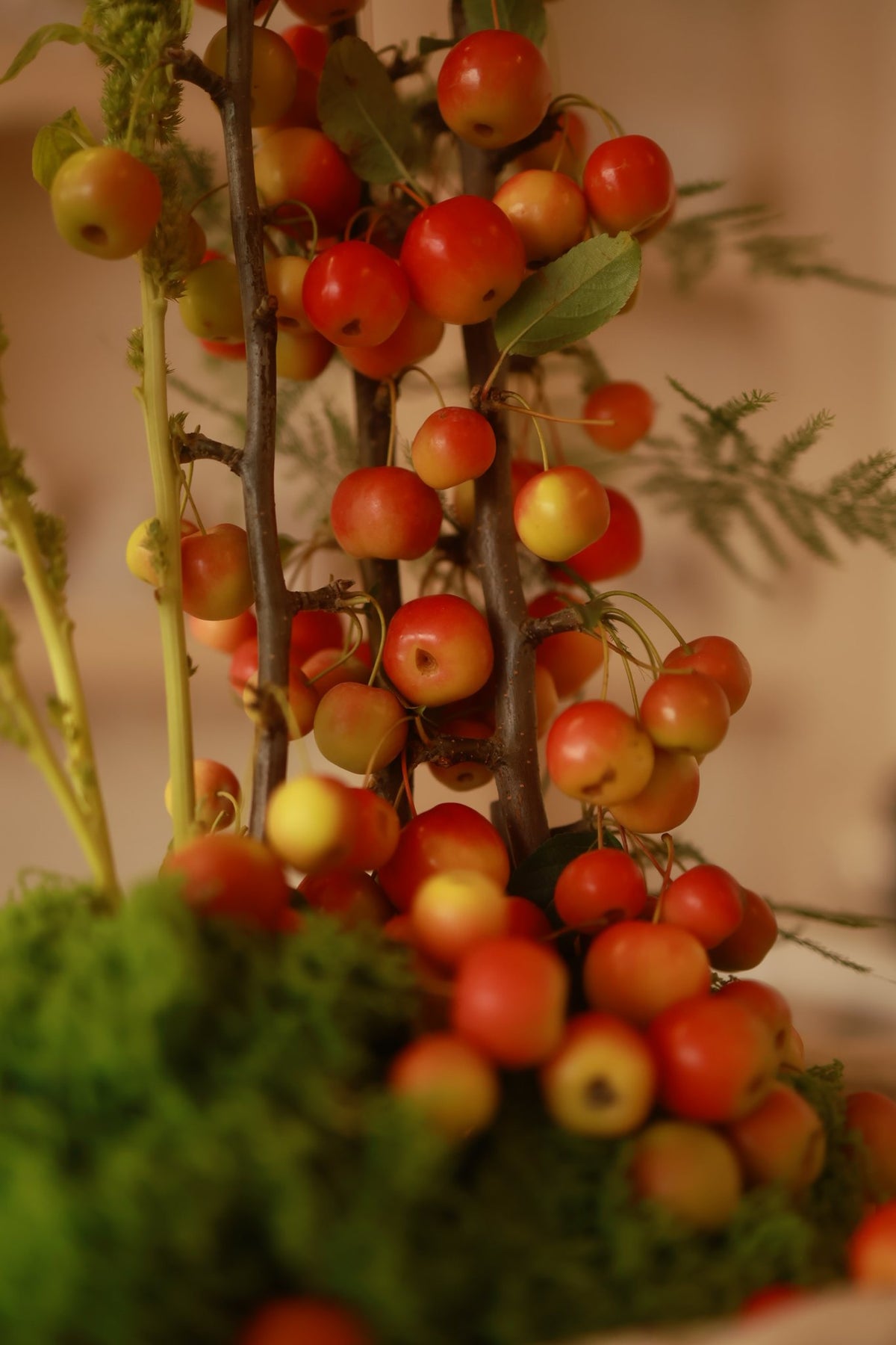 Frutto d'Autunno