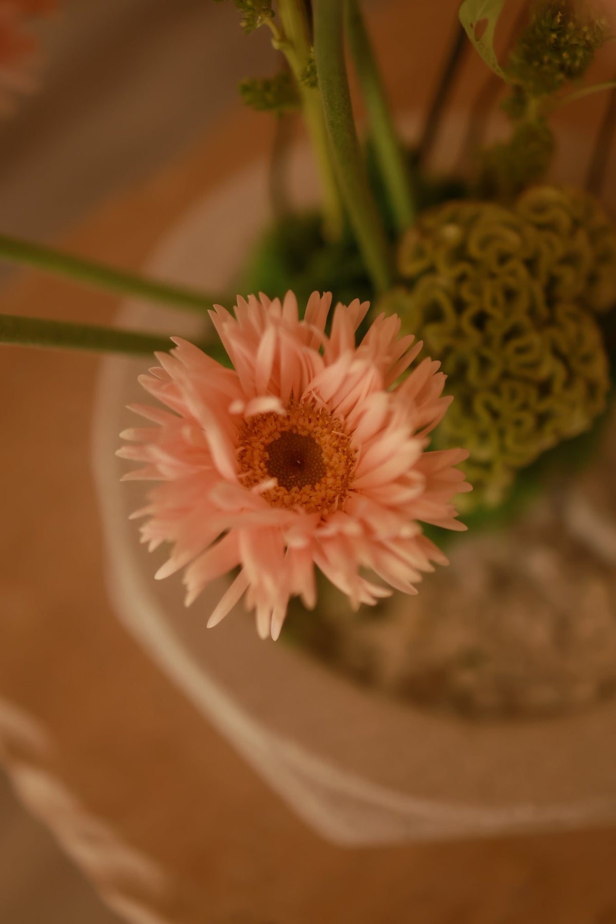 Rosa Pesca