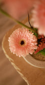 Rosa Pesca