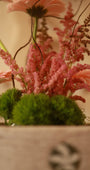 Nuvola Rosa